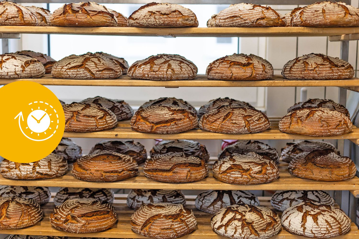 November Brotaktion von „Die Teigmacher“