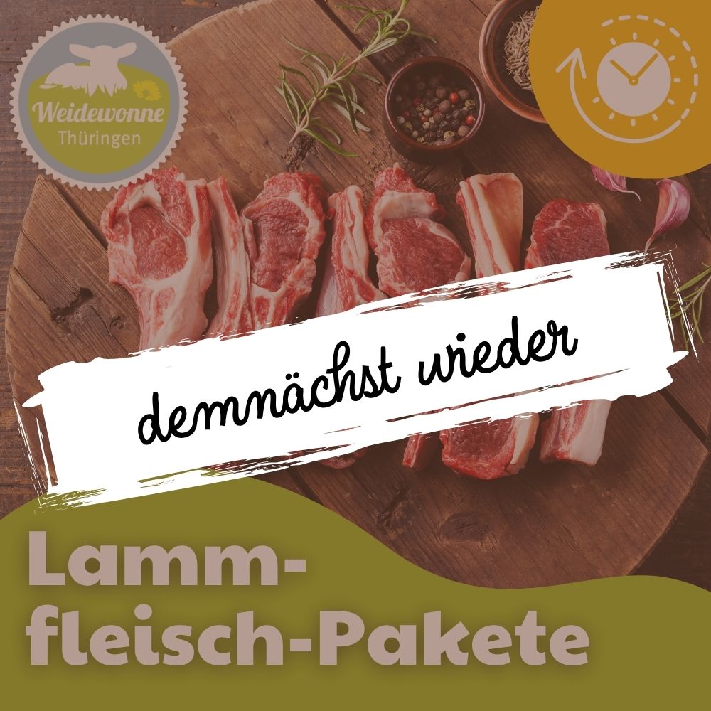 Aktionsbild von der Lammfleischaktion. mit lammfleisch abgebildet und den Text demnächst wieder
